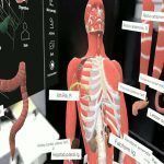 Vr Anatomy Game 1-y