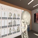 Organon Vr Anatomy-a