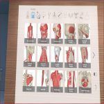 Vr Anatomy 1-x
